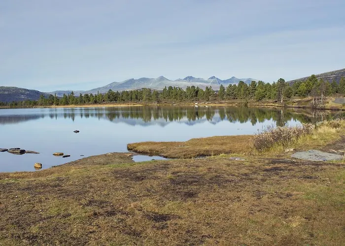 아파트 Rondaplassen