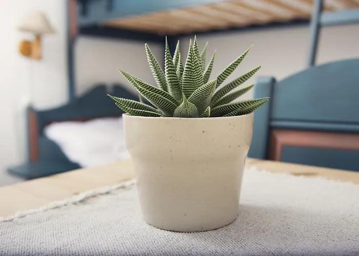 아파트 Rondaplassen