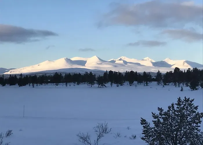 Rondaplassen 아파트