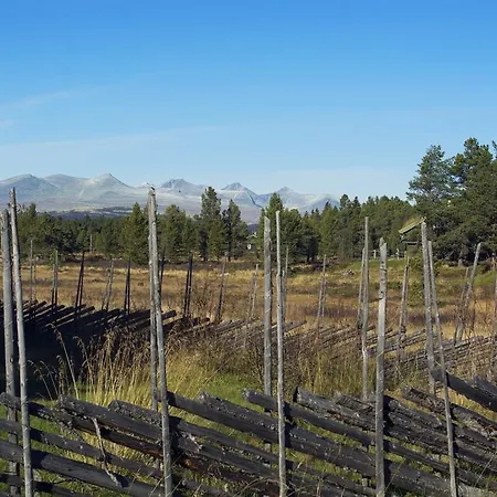 Apartment Rondaplassen *